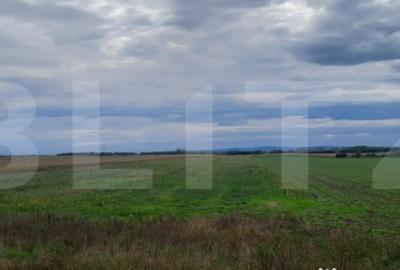 Teren de 21750 mp, în Semicentral - 1