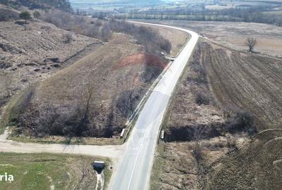 Spațiu comercial, în Moșna - 12