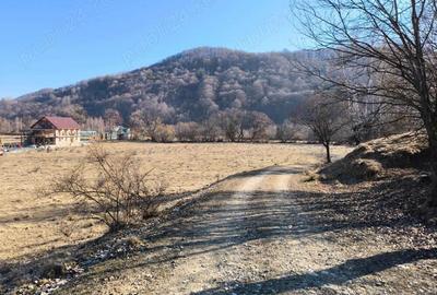 Zona Glajarie - Rasnov, teren ideal pentru investitie sau constructii de vacanta. - 9