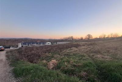 Teren Construcții intravilan de 1000 mp, în Podgoria