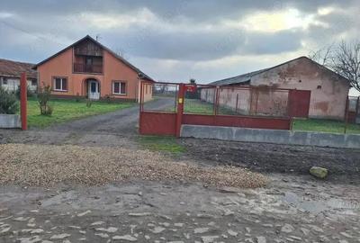 Casă cu 4 camere cu Teren 5456 Mp în Nădlac - 15