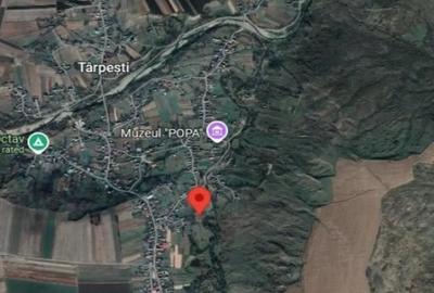 Teren de 2112 mp, în Târpești - 3