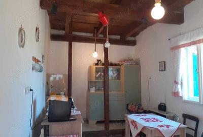 Vand casa taraneasca la 26 de km de Oradea - 8