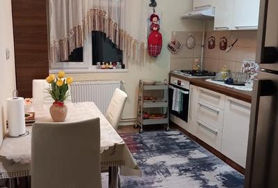 Apartament cu 2 camere semidecomandat în Șega - 2