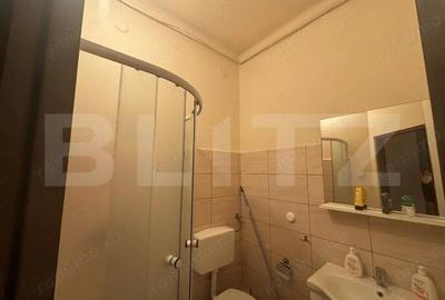 Apartament de vanzare, 76.40 mp, zona Central - 3