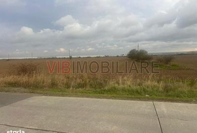 Spațiu comercial, în Bolintin-Deal - 2