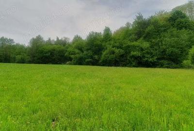 Teren de 2000 mp, în Central - 5