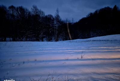 Teren de 5000 mp, în Șinca