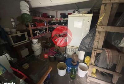 Casă cu 4 camere cu Teren 4489 Mp în Murighiol - 11