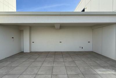 Penthouse cu 3 camere decomandat în Universitate - 9