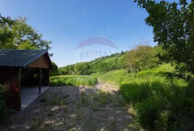 Teren pentru constructii Sighisoara 5144 mp/ Strada Aurel Vlaicu - 1