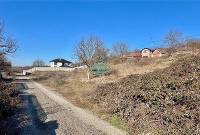 Vand teren cu suprafata de 835 mp str Viile Dealului Mic l Vand teren cu suprafata de 835 mp str Viile Dealului Mic l - 3