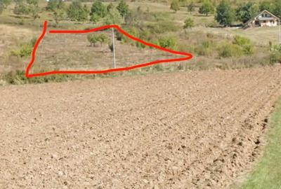 Teren de 5000 mp, în Central - 3