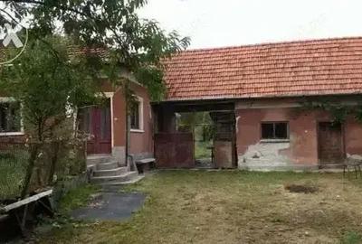 Casă cu 3 camere cu Teren 2523 Mp în Josani - 9