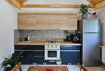 Casa de vanzare casa de vacan?a in sat turistic Suncuius (BH) oportunitate de afaceri - 2