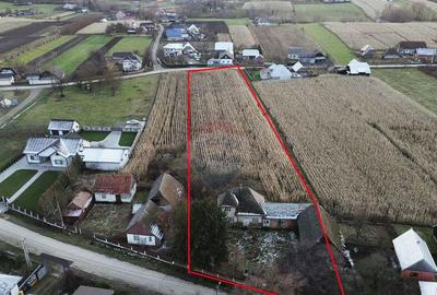 Casa de vanzare in Com Fratautii Noi - 3