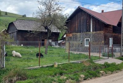 Spre vanzare proprietate Manastirea Humorului - Suceava - Bucovina - 2