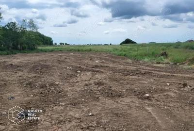 Teren intravilan curti constructii, Sacalaz, Timis - 2