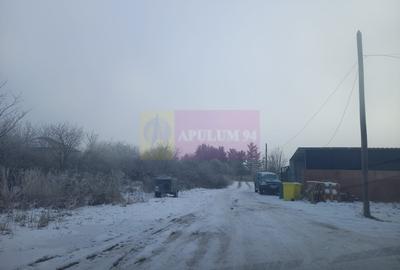 Teren 1000 mp Domnesti - 5