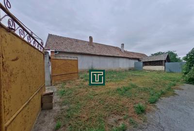 Casă tradițională cu teren generos în Secusigiu, județul Arad Casă tradițională cu teren generos în Secusigiu, județul Arad - 2
