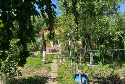 Casă cu 4 camere cu Canalizare în Andronache - 4