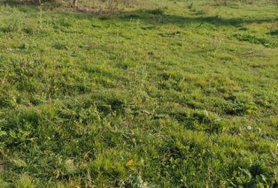 Nicolae Balcescu - Tulcea, teren cu deschidere 27 ml la drum - 1