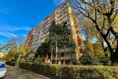 Apartament 2 camere Grigorescu strada Vlahuta - 10