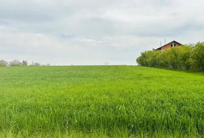 Oportunitate Unică | Teren de Vis pe Malul Lacului | Deschidere lac 16m - 2