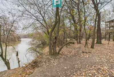 Teren extravilan de 5000 mp, în Periam - 1