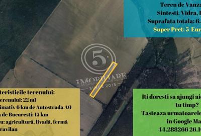 Teren de Vanzare - 6.828 mp, Șintesti, Vidra