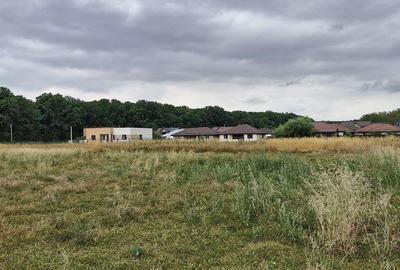 Teren de 680 mp, în Balotești