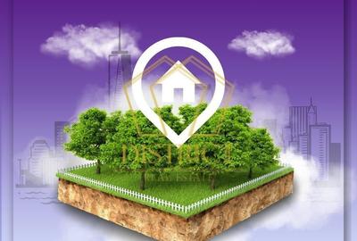 Teren Construcții intravilan de 3163 mp, în Săcălaz - 2