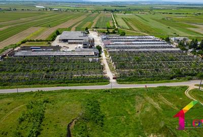 Teren 100.000 mp + Spatii Industriale Bacau - 15