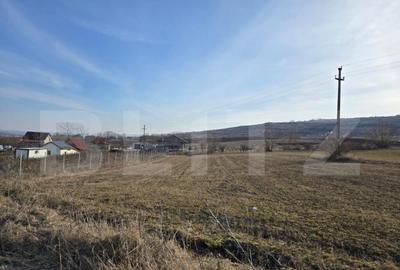 Teren extravilan de vanzare, 1.113 mp, zona-Valea Chintaului - 10