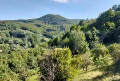 Teren de 70290 mp, în Poiana Ampoiului - 5