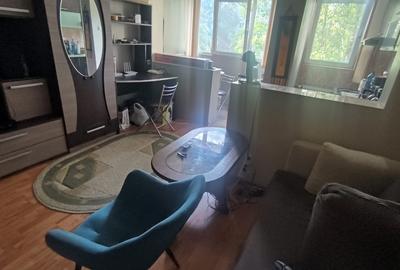 Drumul Taberei, garsoniera 32 mp, Ghencea - 4