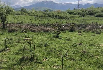 Spațiu comercial, în Racovița - 2