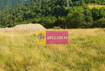 Teren Jude?ul Valcea - Brezoi, Valea lui Stan - 18