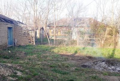 Mereni de Sus 55km Bucuresti - 4