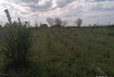 Teren de 2 mp, în Valea Mărului - 3