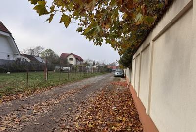 Branesti, sat Pasarea, teren deosebit - 12