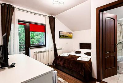 Vânzare pensiune completă – Bran, Sohodol | 0% comision | Exclusivitate - 16