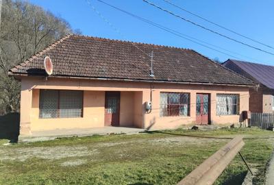 Casă cu 2 camere în Central - 1