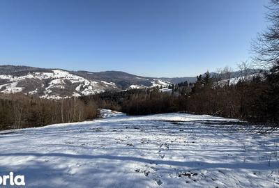 Teren de 21053 mp, în Vama - 7