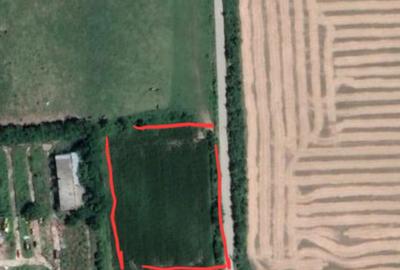 Teren de 1371 mp, în Puchenii-Moșneni - 3