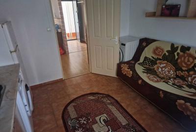 Garsonieră semidecomandată în Vișan - 7