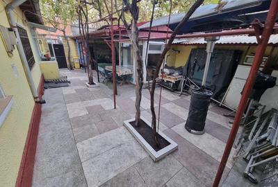 Viile noi-casa la sol cu garaj - 9