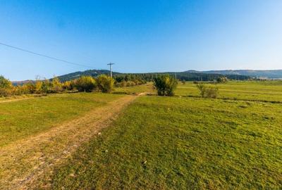 Teren Construcții intravilan de 14000 mp, în Covasna