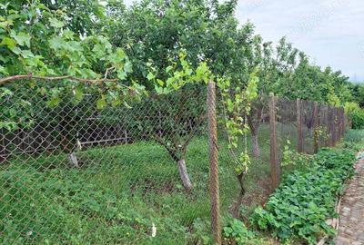 Vand casa mare cu livada, vie, gradina in Fratostita - 4