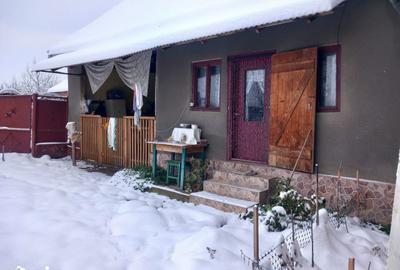 Casă cu 3 camere cu Teren 1420 Mp în Central - 14